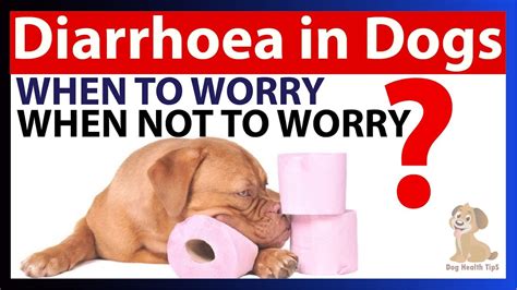 can hot dogs cause diarrhea
